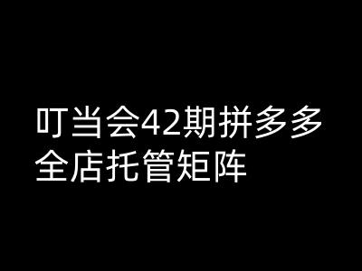 叮当会拼多多打爆班原创高阶技术第42期，拼多多全店托管矩阵-快名资源网