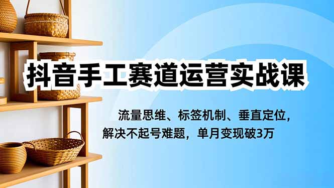 抖音手工赛道运营实战课，流量思维、标签机制、垂直定位，解决不起号难题，单月变现破3万-快名资源网