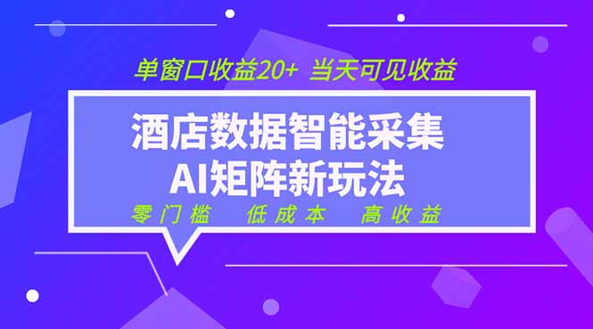 2026酒店数据采集ai智能矩阵新风口  低成本   高收益   当天见收益   单窗口20+-青虫资源网