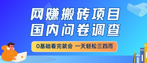 网创搬砖项目，国内问卷调查，小白轻松上手，一天三四张的也不难，干就完了【揭秘】-快名资源网
