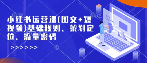 小红书运营课(图文+短视频)基础规则、策划定位、流量密码-快名资源网