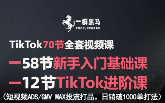TikTok全套视频课，新手入门+进阶课，短视频ADS-GMV MAX投流打品，日销破1000单打法-快名资源网