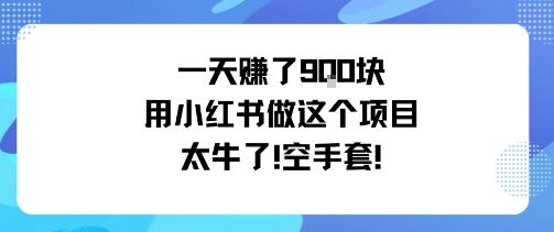 一天挣了9张用小红书做这个项目太牛了，空手套-青虫资源网