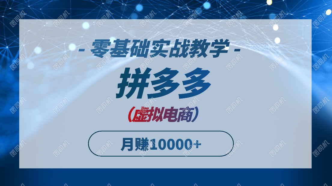 拼多多虚拟电商，零基础实战教学，快速打爆商品，新手也能月入10000+-青虫资源网