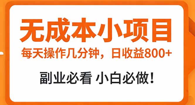 无成本小项目 每天操作几分钟，真实日收益800+ 副业必看 小白必做！-快名资源网