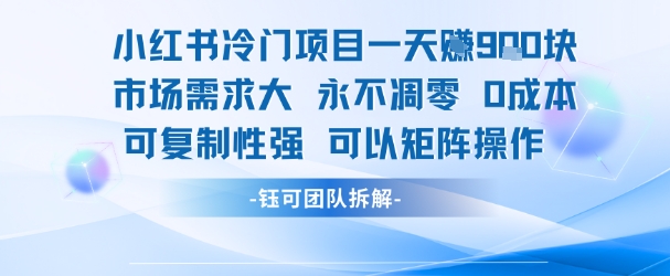 小红书冷门项目一天收益9张，市场需求大，0成本，可复制性强可以矩阵操作-快名资源网