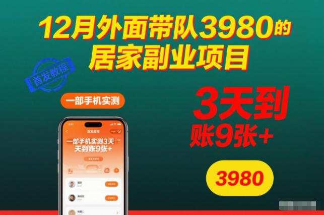12月外面带队3980的居家副业项目，一部手机实测3天到账9张+，首发教程【揭秘】-快名资源网