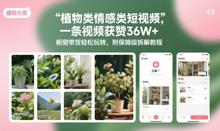 植物类情感类短视频，一条视频获赞36W+，橱窗带货轻松玩转，附保姆级拆解教程-快名资源网
