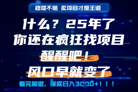 什么？25年你还在疯狂找项目做，醒醒吧，看完这些你全都懂了！【揭秘】-快名资源网