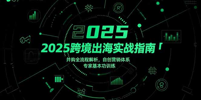 2025跨境出海实战指南，并购全流程解析，自创营销体系，专家基本功训练-快名资源网