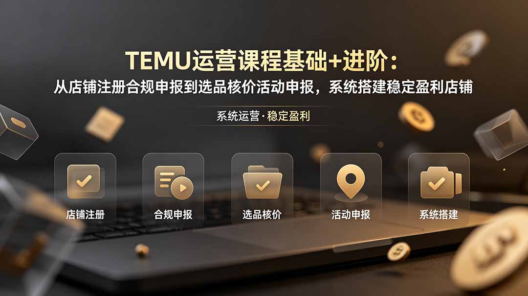 TEMU运营课程(基础+进阶-青虫资源网