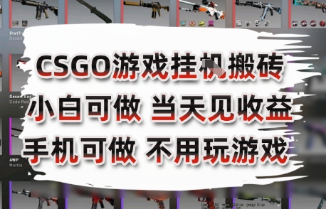CSGO游戏挂G搬砖，小白纯手机即可操作，不用电脑打游戏，日入3张+，副业网创项目【揭秘】-快名资源网