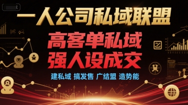 一人公司私域联盟，高客单私域，强人设成交，建私域 搞发售 广结盟 造势能-快名资源网