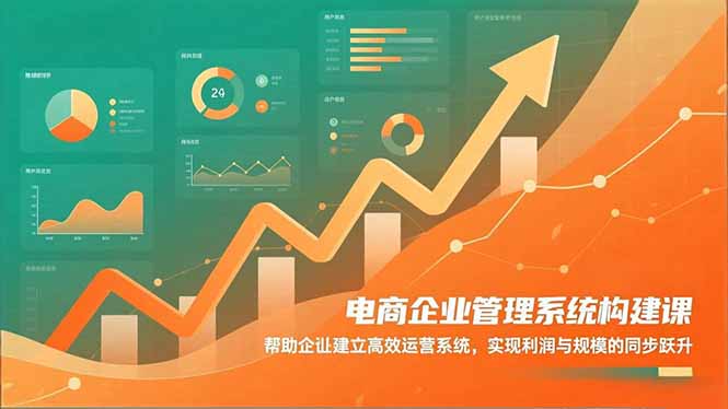 电商企业管理系统构建课：帮助企业建立高效运营系统，实现利润与规模的同步跃升-快名资源网