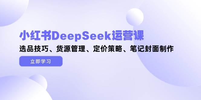 小红书DeepSeek运营课，选品技巧、货源管理、定价策略、笔记封面制作-快名资源网