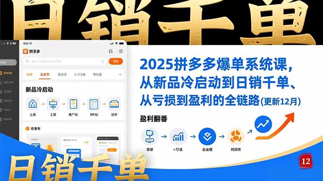 2025拼多多爆单系统课，从新品冷启动到日销千单、从亏损到盈利的全链路(更新12月-快名资源网