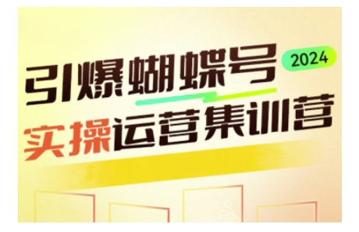 引爆蝴蝶号实操运营，助力你深度掌握蝴蝶号运营，实现高效实操，开启流量变现之路-快名资源网