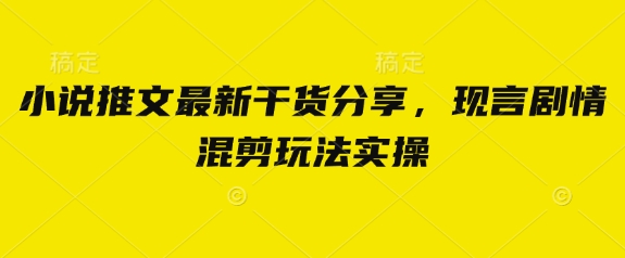 小说推文最新干货分享，现言剧情混剪玩法实操-快名资源网