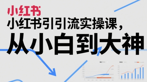 小红书引流实操课，从小白到大神-快名资源网
