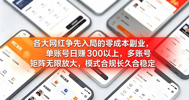 各大网红争先入局的零成本副业，单账号日赚 300 以上，多号矩阵可放大，模式合规长久稳定！-青虫资源网