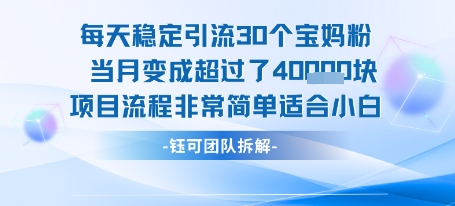 每天稳定引流30个人 当月变成超过了4个W项目流程非常简单适合小白-快名资源网