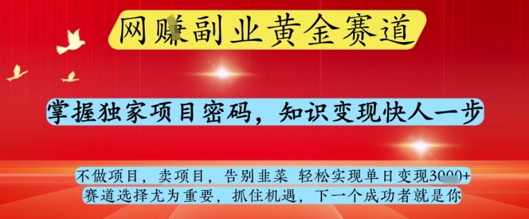 网创副业黄全赛道，掌握独家项目密码，知识变现快人一步，告别韭菜轻松实现单日变现1k+【揭秘】-快名资源网