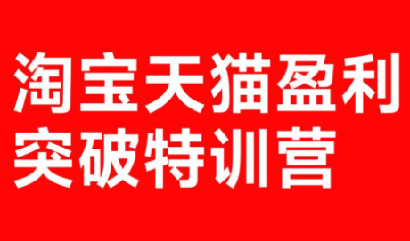 玺承·淘宝天猫盈利突破特训营(25年12月线下课)【音频+字幕】-青虫资源网