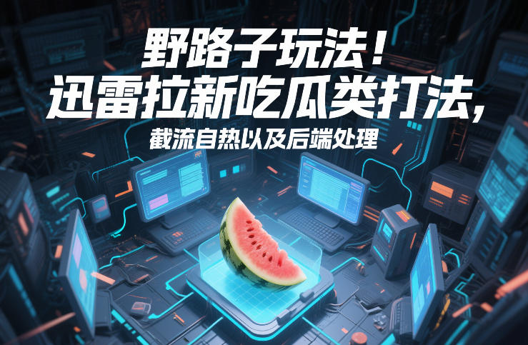 野路子玩法！迅雷拉新吃瓜类打法，截流自热以及后端处理-快名资源网