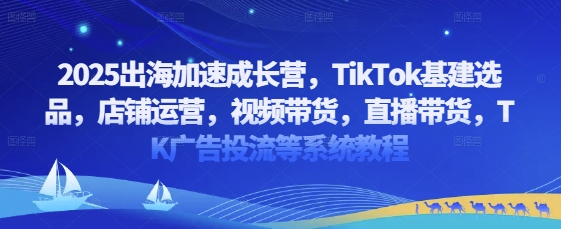 2025出海加速成长营，TikTok基建选品，店铺运营，视频带货，直播带货，TK广告投流等系统教程-青虫资源网