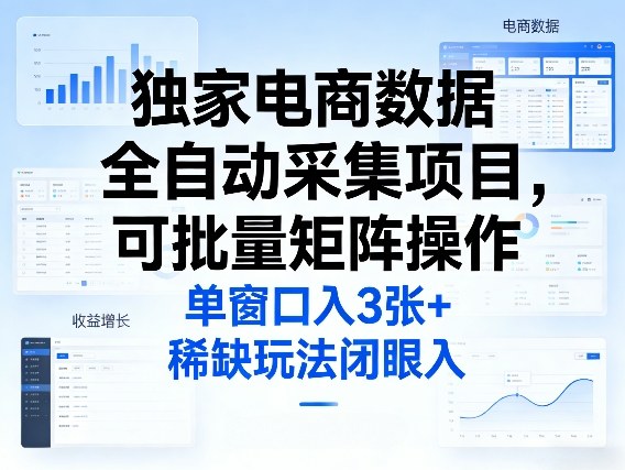 独家电商数据全自动采集项目，可批量矩阵操作，单窗口日入3张+，稀缺玩法闭眼入【揭秘】-快名资源网