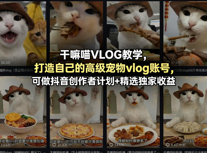 干嘛喵VLOG教学，打造自己的高级宠物vlog账号，可做抖音创作者计划+精选独家收益-快名资源网