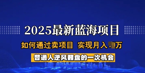 2025蓝海项目，普通人如何通过卖项目，实现月入过W，全过程【揭秘】-快名资源网