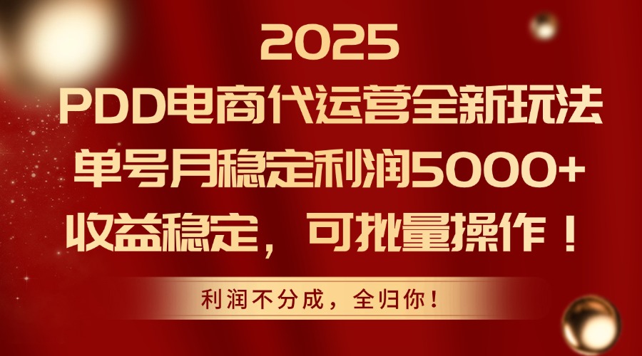 2025PDD电商代运营全新玩法，单号月稳定利润5000+，收益稳定，可批量操作-青虫资源网