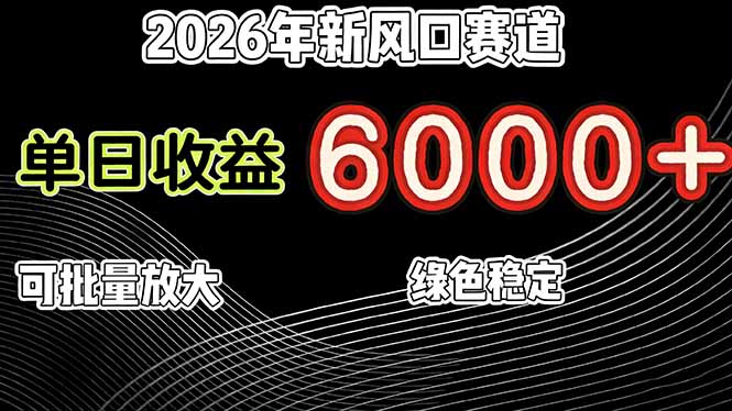 2026年新风口赛道，当日6000+以上，可批量放大，月收入20万+，长期绿色稳定的项目-快名资源网