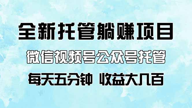 全新托管躺赚项目，微信视频号公众号托管代运营，每天五分钟，收益大几百-快名资源网