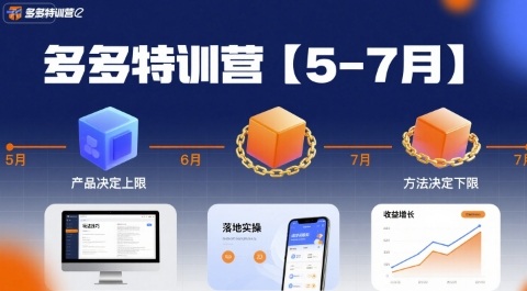 多多特训营，产品决定上限，方法决定下限，各种玩法技巧落地实操(更新)-快名资源网