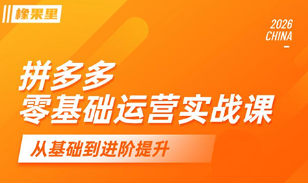 仙道电商·拼多多零基础运营实战课-快名资源网
