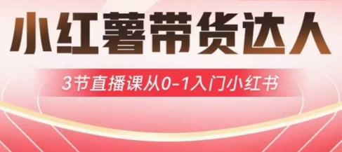 小红薯达人带货启航计划，3节直播课从0-1入门小红书-快名资源网