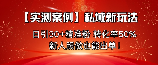 【实测案例】私域新玩法，日引30+精准粉，转化率50%，新人照做也能出单！-快名资源网