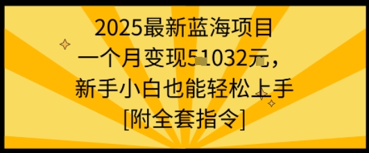 2025最新蓝海项目一个月变现1w+新手小白也能轻松上手【附全套指令】-快名资源网