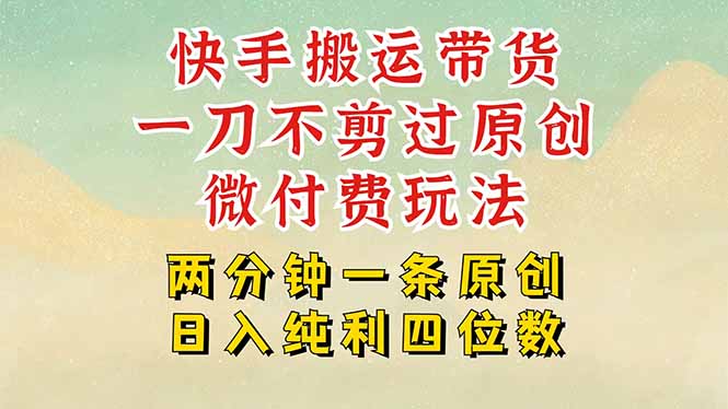 快手黑科技搬运带货，一刀不剪过原创，微付费投流玩法，轻松日入四位数...-快名资源网