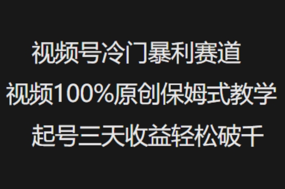 视频号冷门暴利赛道视频100%原创保姆式教学起号三天收益轻松破千-快名资源网