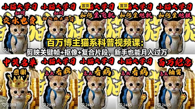百万博主猫系科普视频课：剪映关键帧+抠像+复合片段，新手也能月入过万-快名资源网