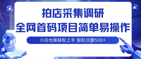 拍店采集调研，全网首码项目，简单易操作， 小白也能轻松上手，多账号操作，轻松日入5张【揭秘】-快名资源网