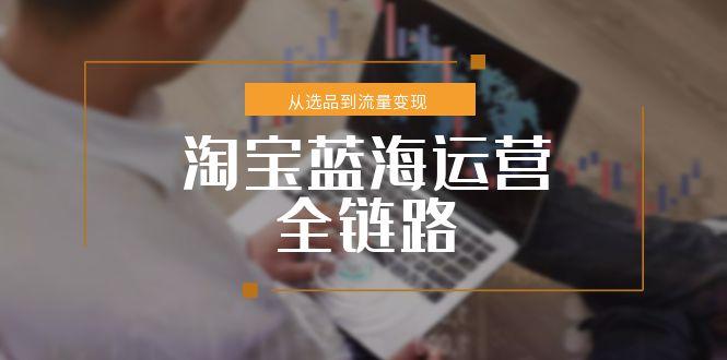 淘宝蓝海运营全链路，从选品到流量变现，小类目突围完整方案-青虫资源网