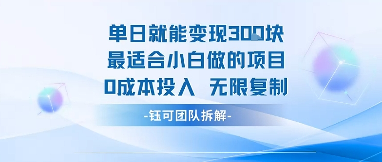单日就能变现3张最适合小白做的项目0成本投入 无限复制-快名资源网