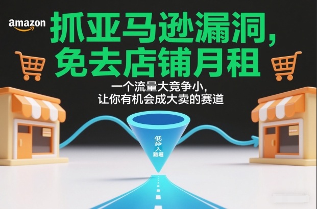 抓亚马逊漏洞，免去店铺月租，一个流量大竞争小，让你有机会成大卖的赛道-快名资源网