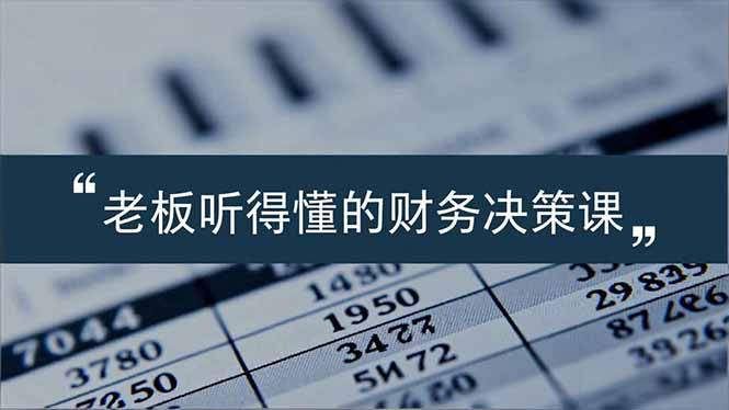 老板能听得懂的财务决策课，报表解读、数据洞察、风险识别，用财务驱动业务增长-快名资源网