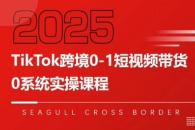TikTok跨境0-1短视频带货，系统拆解TikTok跨境带货全链路，实现跨境可持续盈利-快名资源网