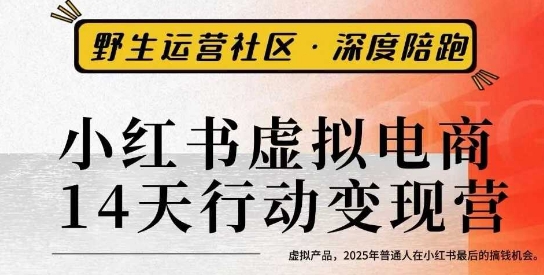 小红书虚拟电商14天变现训练营3.0，​虚拟产品，2025年普通人在小红书最后的搞钱机会-青虫资源网